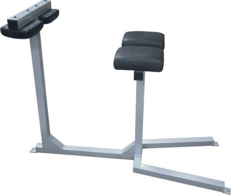 GYM2000 Rygghev, rett