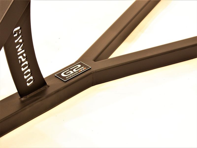 GYM2000 Rygghev 45gr.