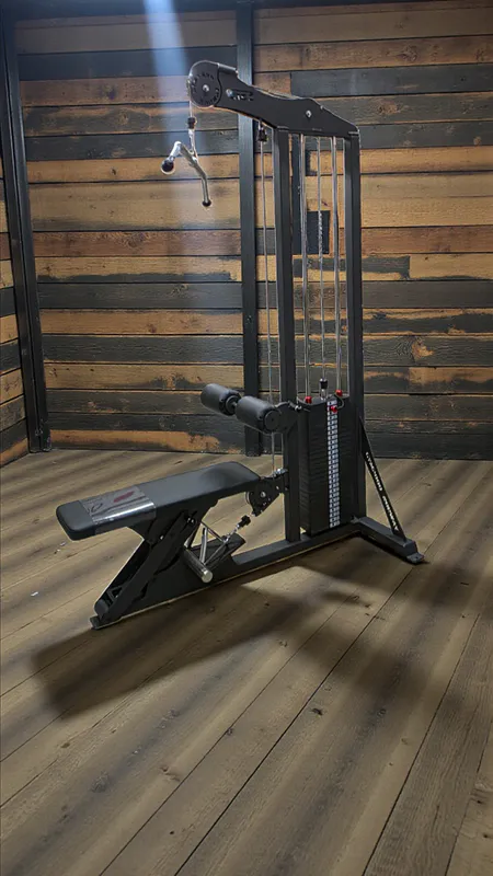 GYM2000 Nedtrekk & Roing Kombi 130kg